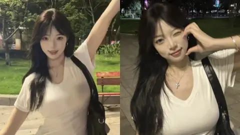 河北医学院校花